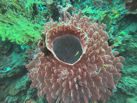 Let's Dive Tulamben-图兰本必去景点