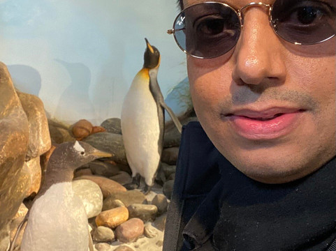 Falkland Islands Museum-Stanley必去景点