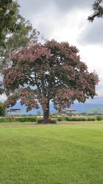 茉莉小屋酒店 - 罗莱夏朵酒店-官方