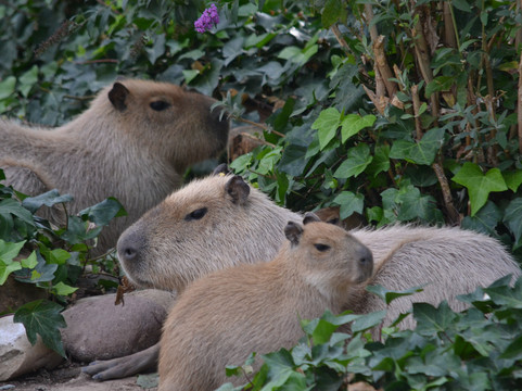 Sendanatura-Arguedas必去景点