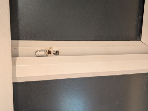 斯图尔特酒店主图