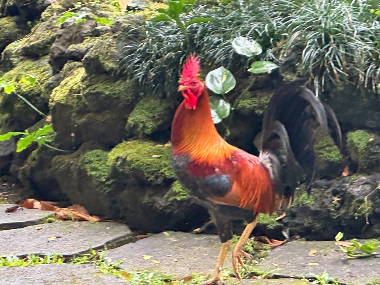 火奴凯家庭式旅馆-浴室