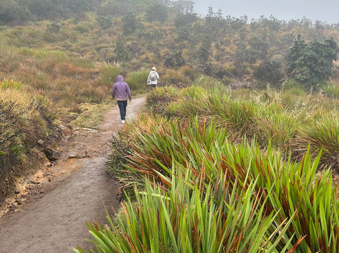 Rock Lanka Tours-Ja Ela必去景点