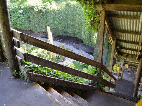 洞穴花园-芒特甘比尔必去景点