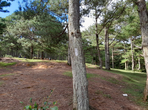 Lang Biang Trail-大勒必去景点