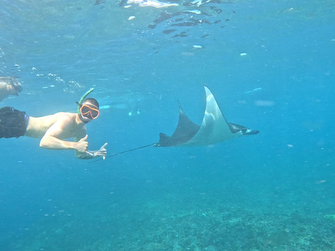 Ceningan Paradise Adventures-努沙切宁安岛必去景点