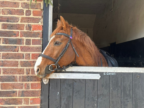 Westerlands-Graffham必去景点