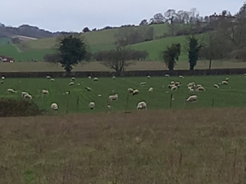 Saint Mary-Le-More-沃灵福德必去景点