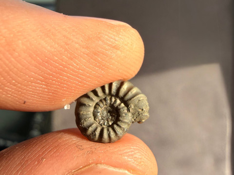 亨斯利之家主图