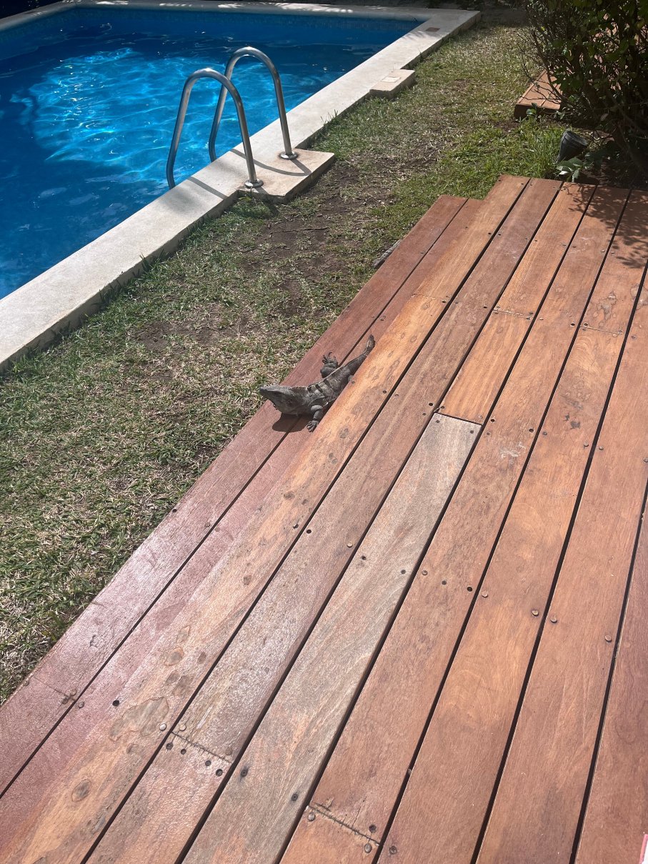 卓越女人海滩度假村-全包型-限大人-官方