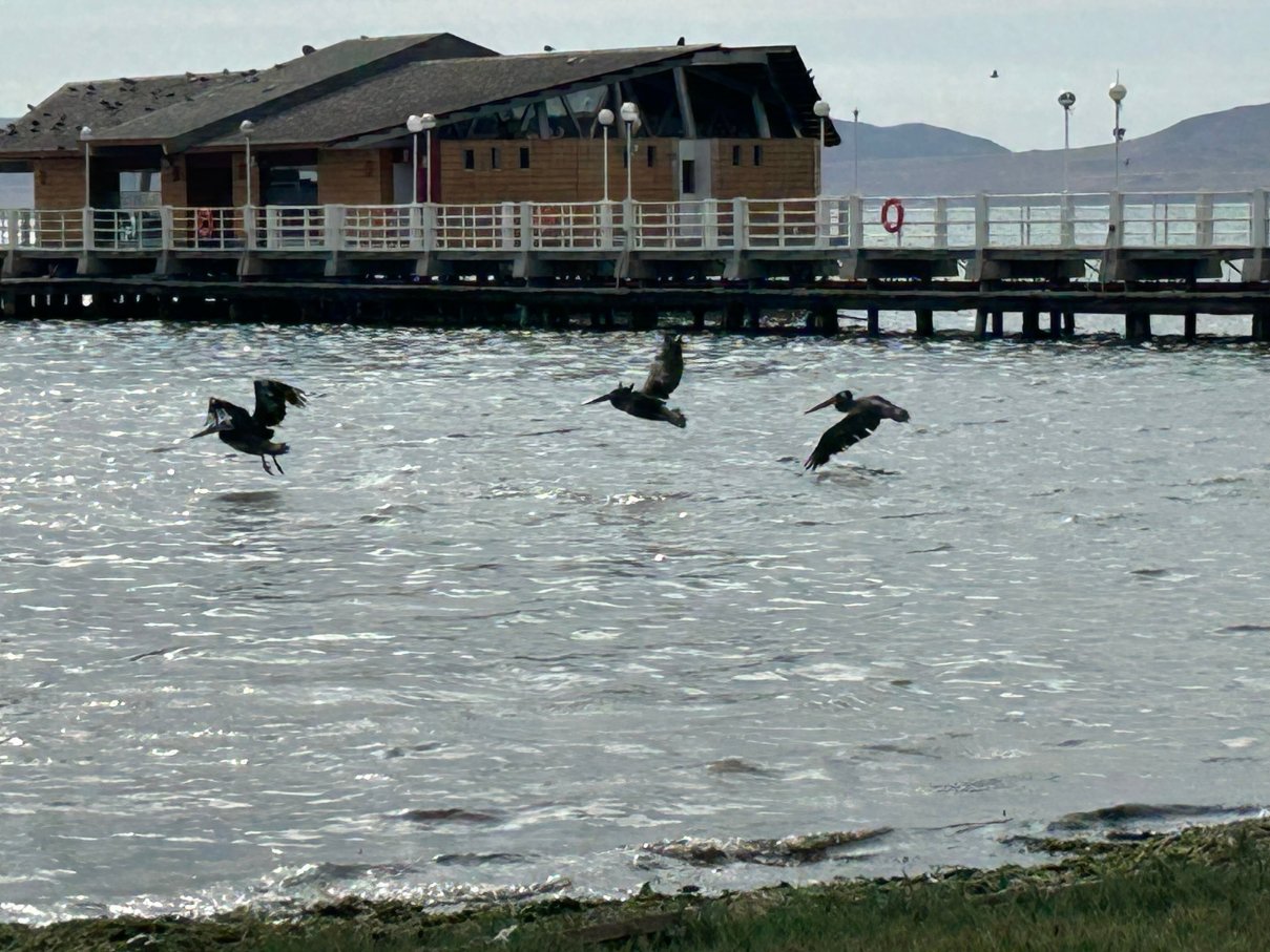 圣奥古斯丁帕拉卡斯酒店-浴室