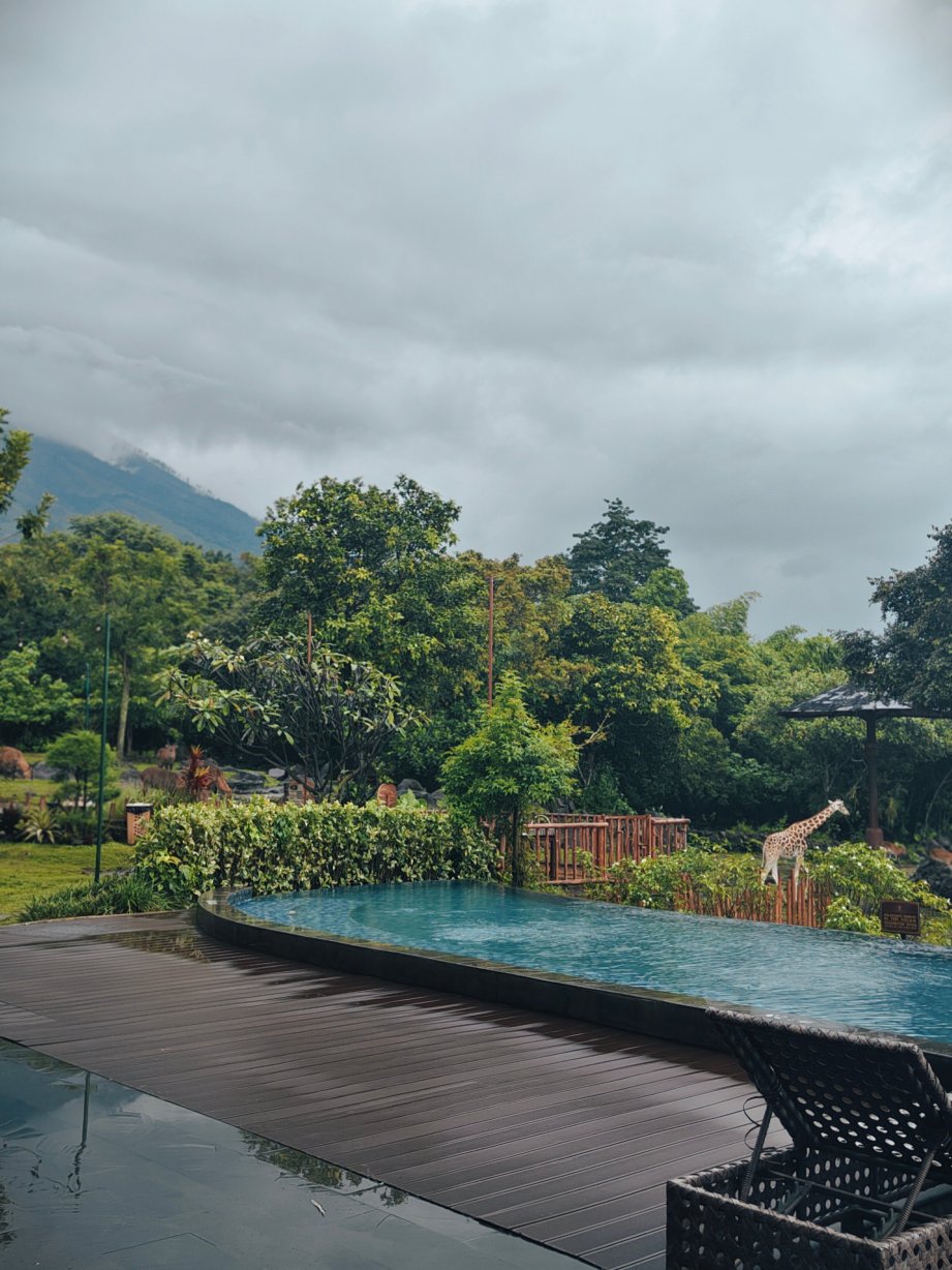 猴面包树野外度假村-官方