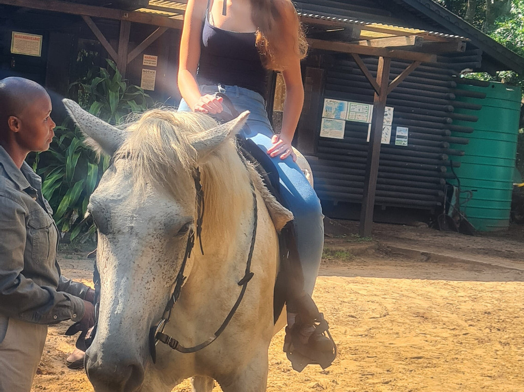 Bhangazi Horse Safaris-圣露西亚必去景点