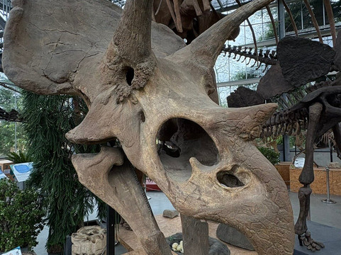 Het Oertijdmuseum-Boxtel必去景点