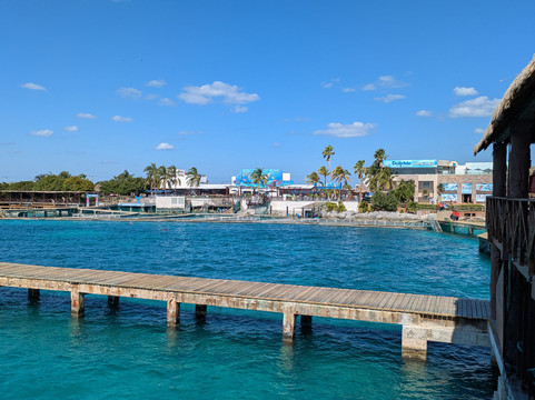 Delphinus Playa Mujeres-女人海滩必去景点