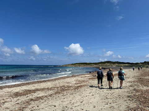 Tracks and Trails-New Mills必去景点
