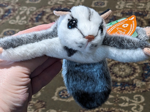 Cuddly Colony-布莱顿必去景点