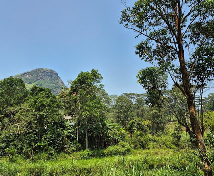 Ranger.LK-康提必去景点