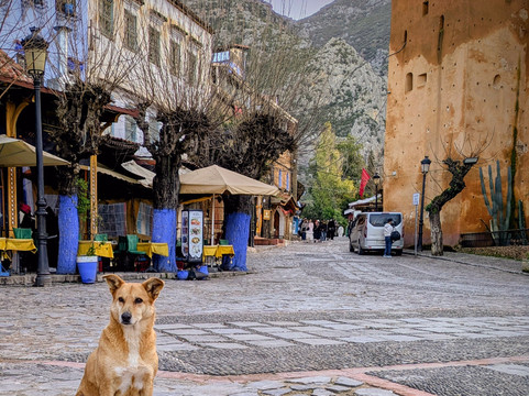 Morocco Easy Tours - Morocco Tours-马拉喀什必去景点