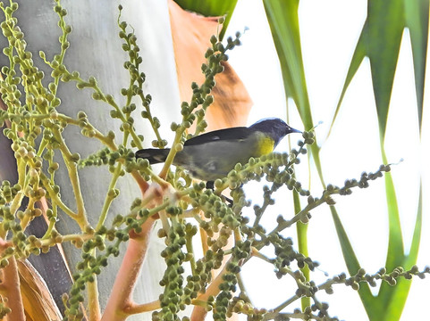 克罗尼尔别墅酒店主图