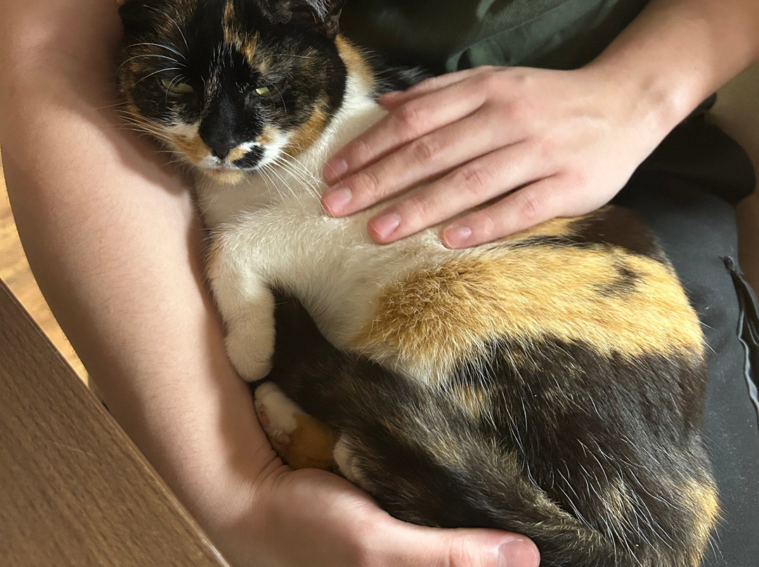 帕塔克公园酒店主图