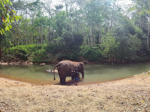 Elephant Care Relief-凯格勒 必去景点