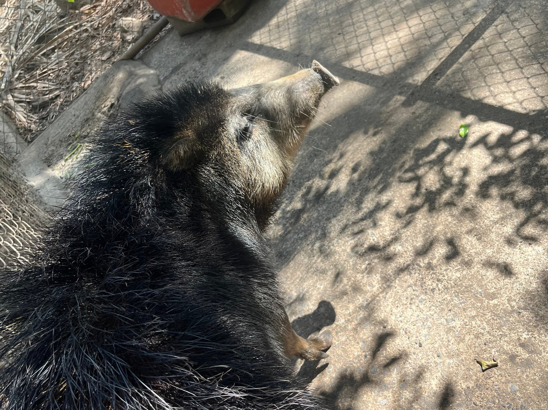 Natuwa Wildlife Santuary-彭塔雷纳斯必去景点