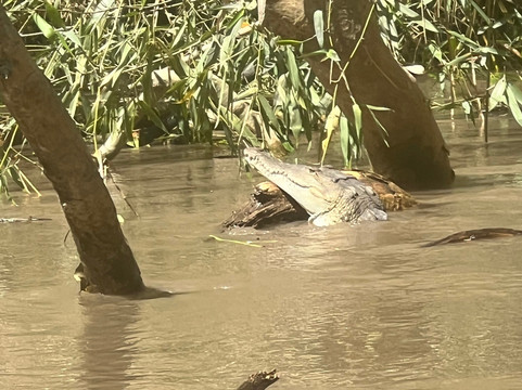 Costa Rica Driver - Tours-圣何塞必去景点