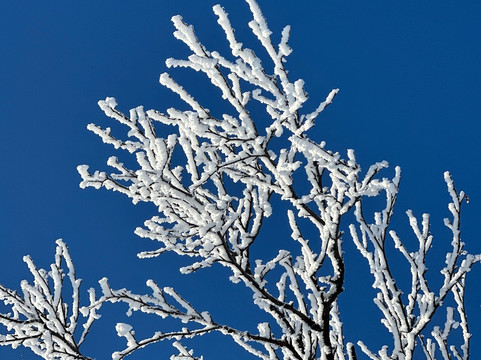 Adventure Lapland-Jukkasjarvi必去景点