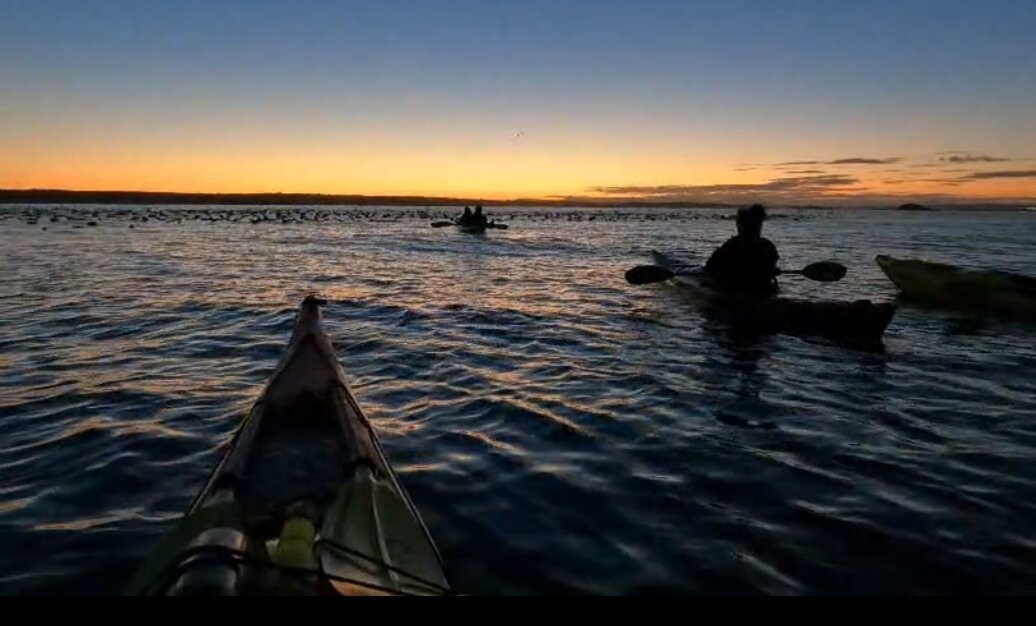 Falklands Outdoors-Stanley必去景点