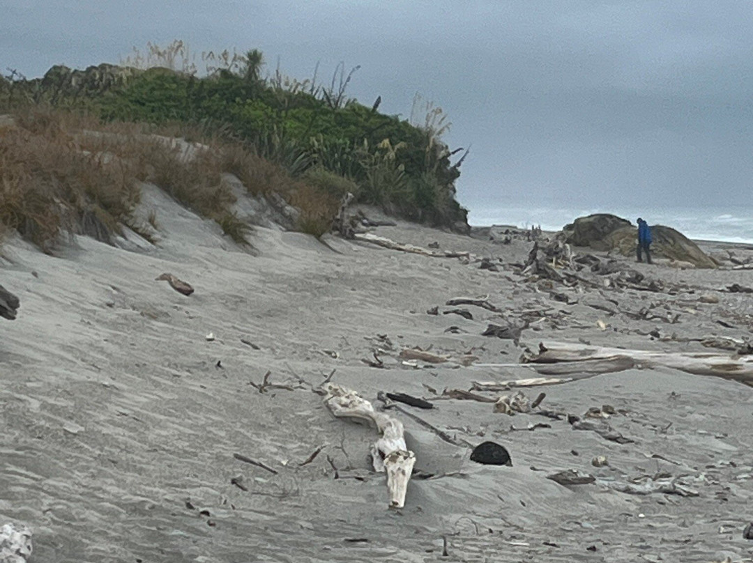 Ship Creek Walks-Haast必去景点
