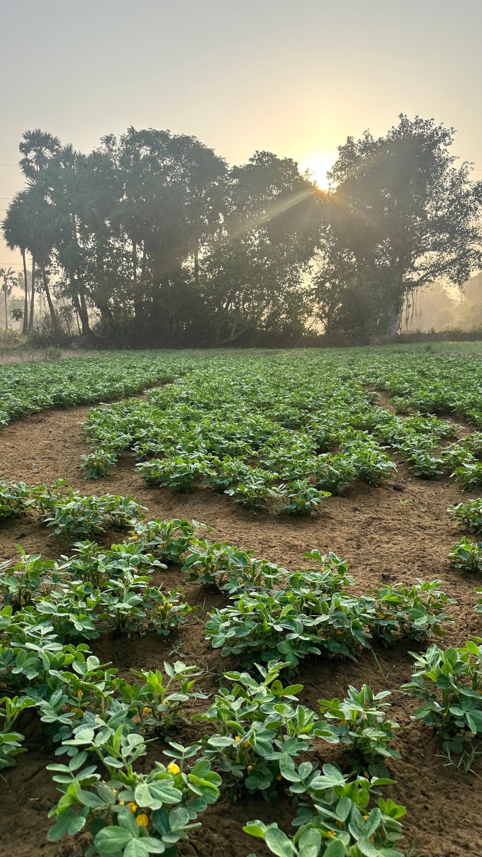 马鲁瑟姆乡村度假村-官方