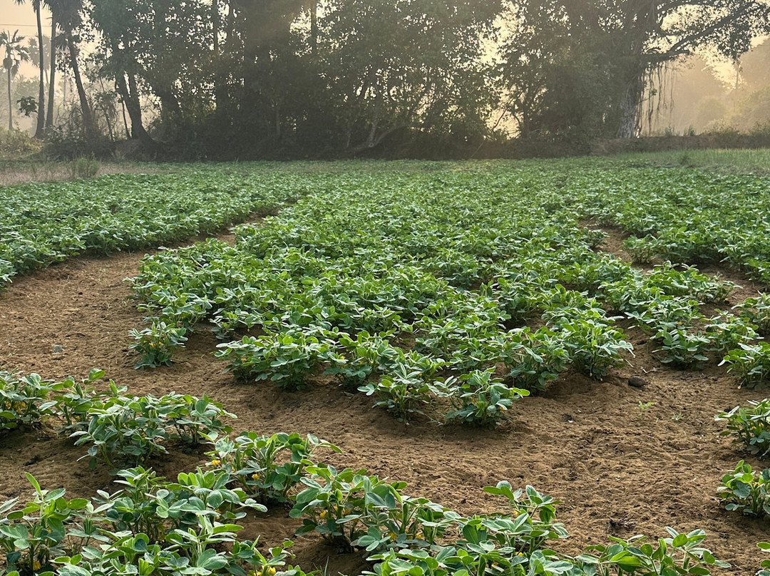 马鲁瑟姆乡村度假村主图