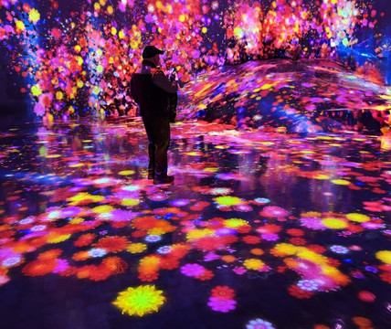 Teamlab Borderless Tokyo-港区必去景点