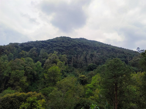 洛斯沃尔卡内斯温泉酒店主图