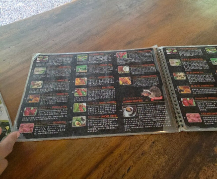 Celuk Swing & Luwak Coffee-Celuk必去景点