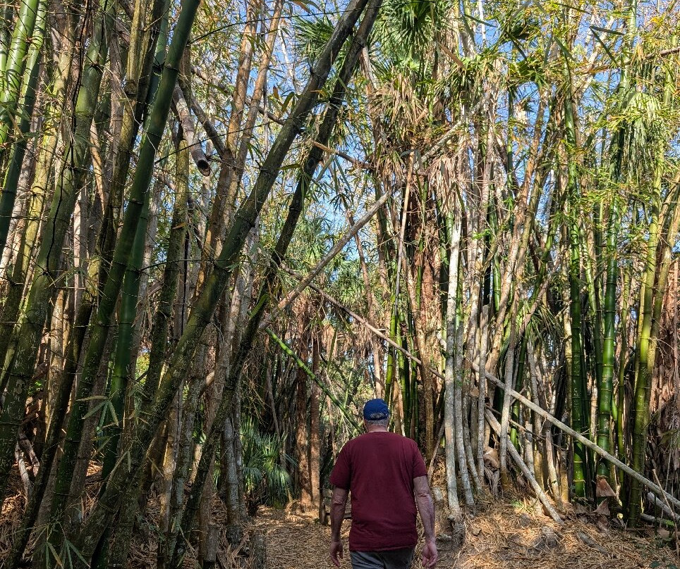 Koreshan State Park-埃斯特罗必去景点