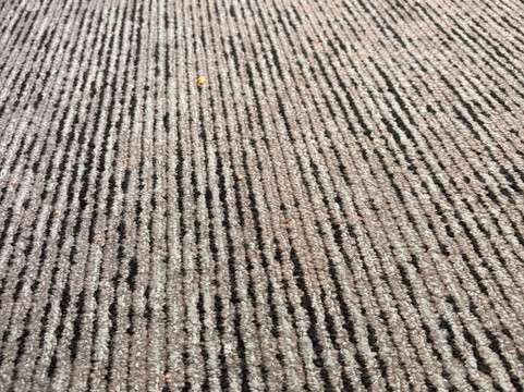 底特律沃伦万豪TownePlace酒店主图