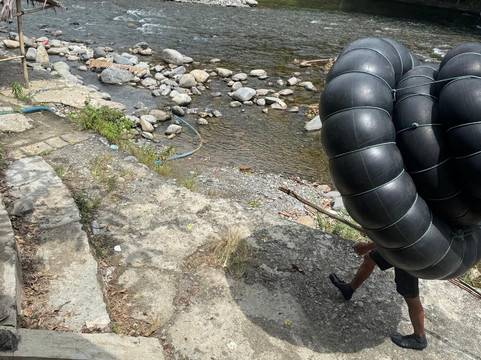 Sumatra orangutan escape-棉兰必去景点