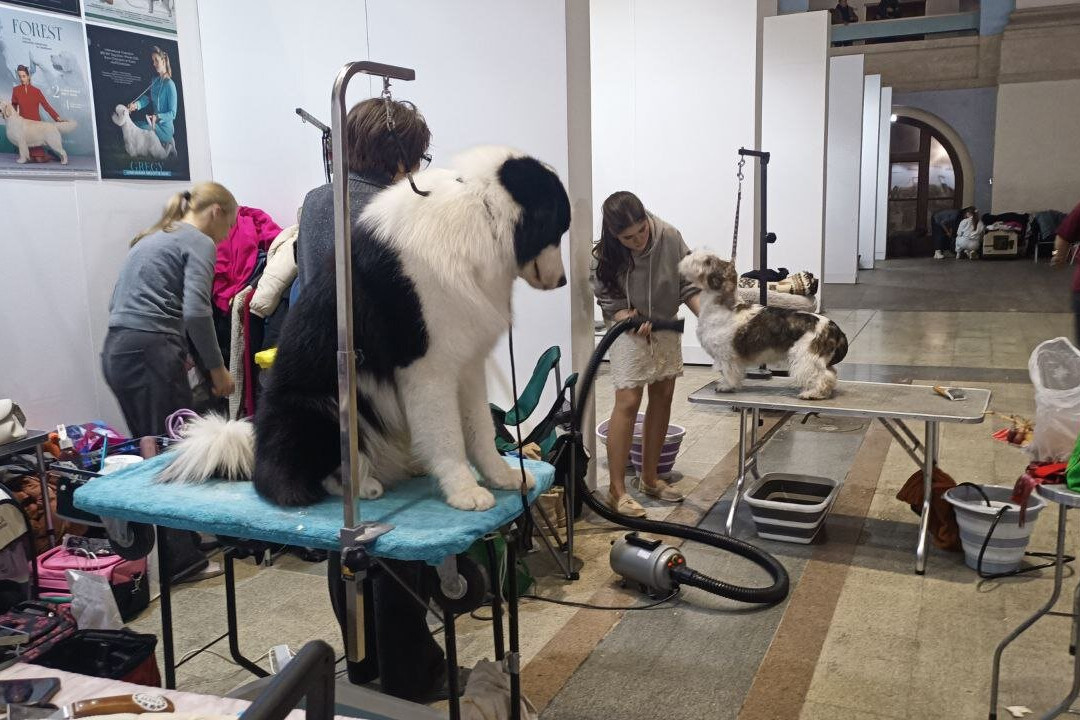 Gostiny Dvor and Trade Rows-Kimry必去景点