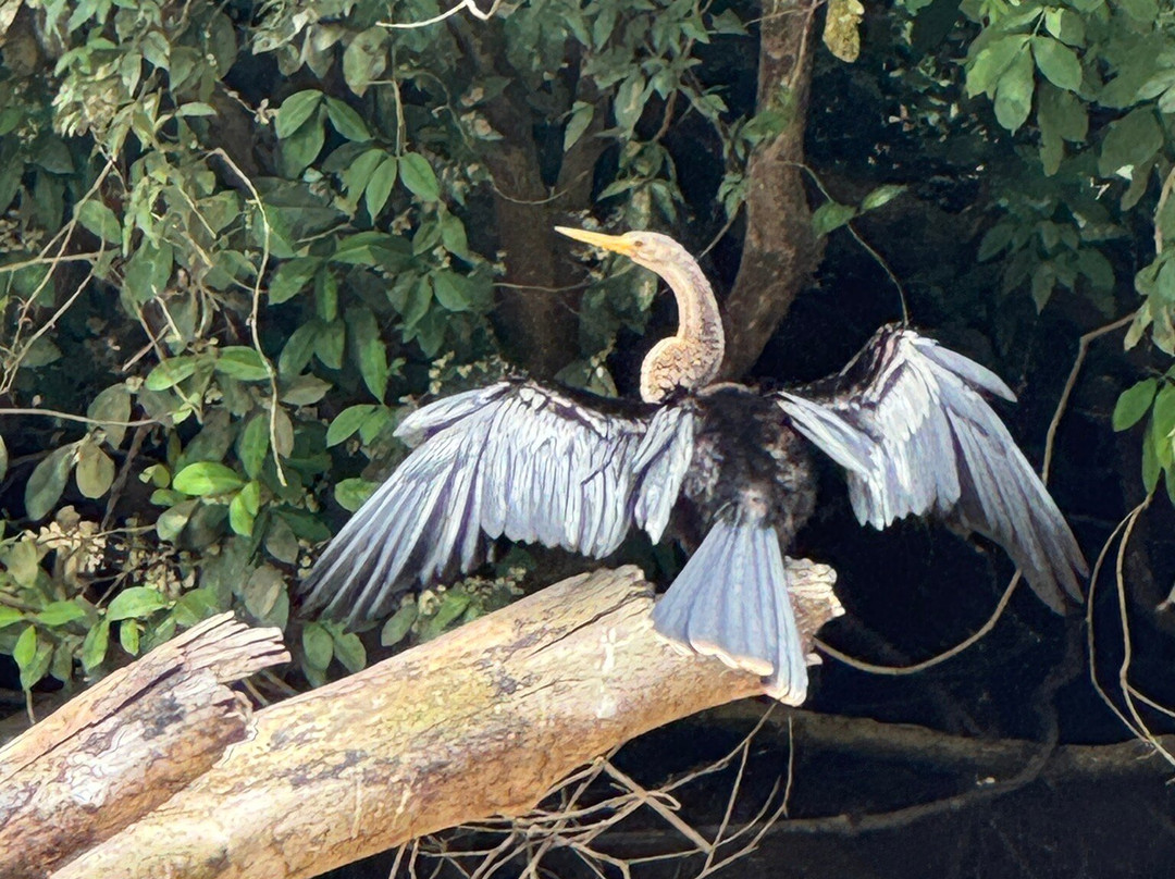 Bella Aventura Costa Rica-Santo Domingo de Heredia必去景点
