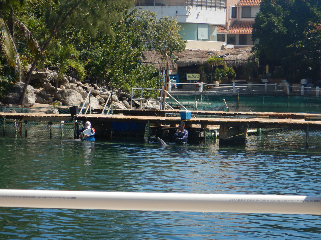 Puerto Aventuras-阿范特拉斯港必去景点