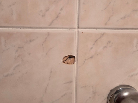 白天鹅酒店主图