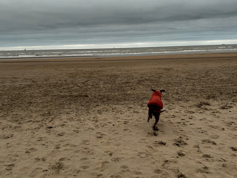 Zandvoort Aan Zee-赞德沃特必去景点