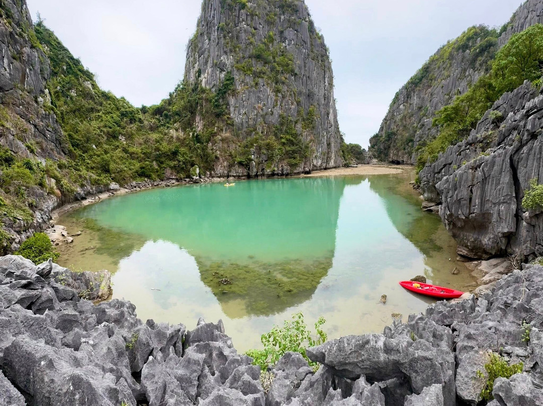 Cai Beo Floating Village