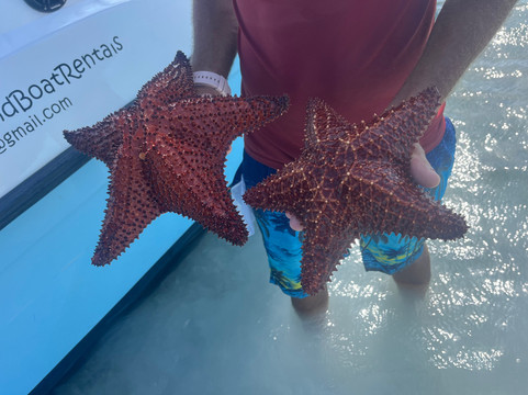 Long Island Boat Rentals-长岛必去景点