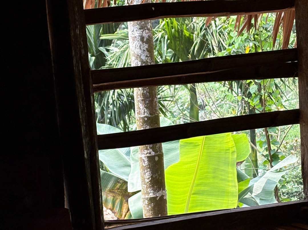 Pu Luong Ancient Stilt House-清化必去景点