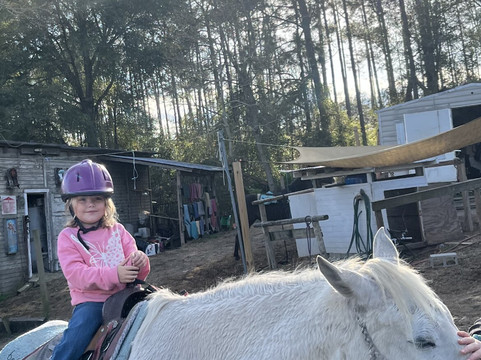 Sunshine Riding Trails - Day Tours-巴拿马城海滩必去景点