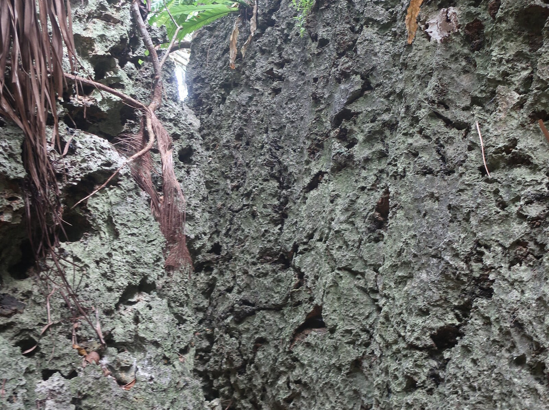 Baribari Rock-南大东村必去景点