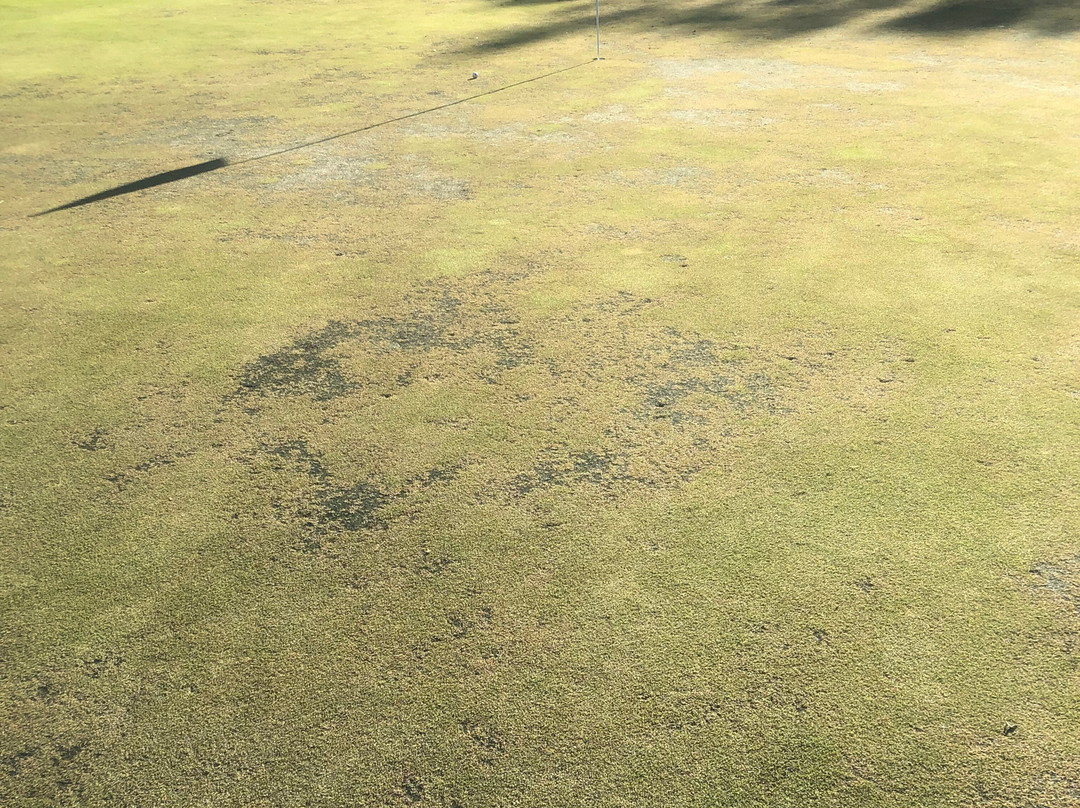 Cypresswood Golf Club-斯普林必去景点